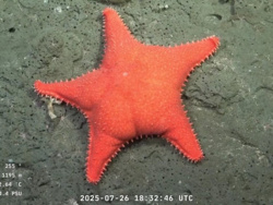 b7c1e205-e08c-40bf-bf6d-90ad8d1b19e8