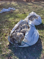 db40e897-acb1-481e-9c8c-eac28e2a74c0