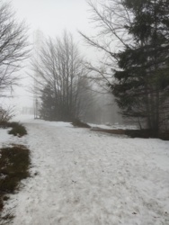 5bfde143-4c10-4f7b-8e04-ac536ca0e1a2