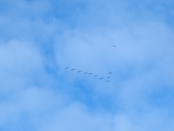 b6f7a85c-b9c0-4fa2-8db6-20625544f38c