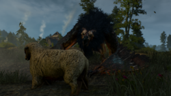 27259426-251a-45ae-8a5b-b2572b331e6e