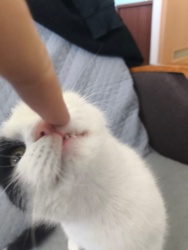 522f03a5-1cd0-4744-8d8b-0f8fe366c603