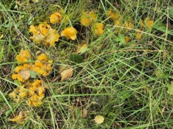 1ac3a150-e397-48df-b8dd-d096f485b41c