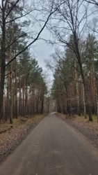 284d5378-56f0-4e64-a2ee-e8b5bd4f2fef