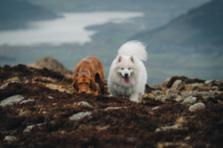 46d75dd1-07cf-4294-9d82-ac9f17eec672