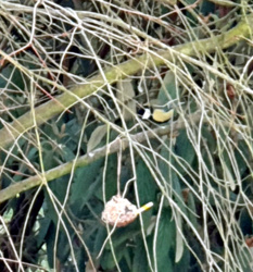 462cd960-2106-4dd6-af05-fb2902fbd4a4