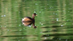 0390d5f2-fc80-4c08-9259-d6ed3bb6eb9e