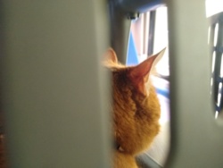 abc17c79-1177-48dd-b295-18d45655eb22