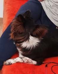 2fc42a37-9664-4d99-a560-98d8e986e332