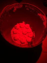 6a38cbbe-3ce8-41f8-8e95-53df0569e3fd