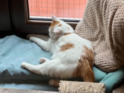 924f563a-a8f9-4b79-b026-5d1abec1ace6