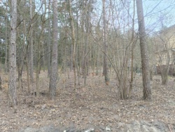 1144a687-0052-42a6-9206-757143bd4e99