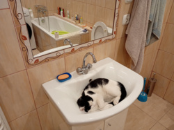 239738fb-b6e4-4225-8e67-66f6322ff541