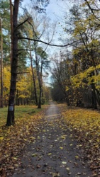 5660c5d5-a704-4133-a87e-92600e1c7073