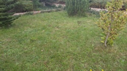 a39878c0-e1da-47cb-8027-3911657a0772