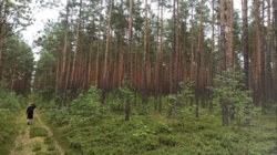 fe2399e1-d956-4ebe-b2ed-ffab8d50aa13