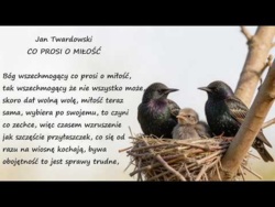 Co Prosi o Miłość Jan Twardowski Poezje Wiersze | Poezja Dla Duszy