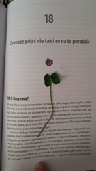 9bf31faa-a44a-436a-a169-d079f9268dce