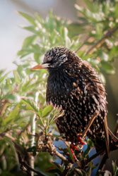 77bdbdfe-0fef-4306-bdf0-901f4d75f9fc