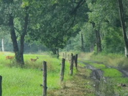 e32ad8b2-36cf-4a63-af8e-dcb9cf99c677