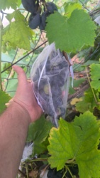 59681ac5-62a0-4375-b7a1-2b3ceea4ab33