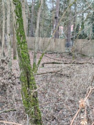 54c97967-07c2-45df-b483-23e589c671ad