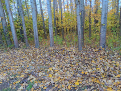 a189d7ff-ab8c-4314-b706-f197e33622c8