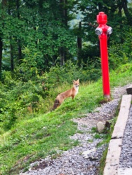 e1614896-91d0-47d2-bafa-aaac232eb561