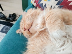 e50660a9-51e2-49db-9204-659252b04714