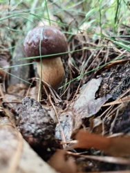 47c13256-5243-486d-9b8d-683ee531294d