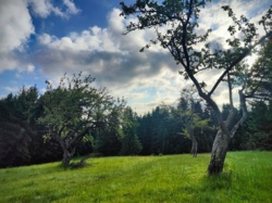 2284b3d2-1753-4a29-955b-269f670e7f26