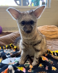 187cef0f-996d-42f9-a4a9-44a3dd96ec1f