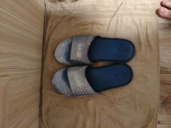 d0ba636b-cbc5-4ab2-ad85-edd75ed763e9