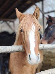 56a9956a-7630-4435-9211-3cc3b5018afd