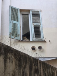 6437b446-0620-44a4-9236-6ebcb6de9938