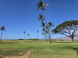 3be70e20-dae1-42ca-9b32-ca5f31bb3462