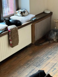 048f8011-19a6-4ca9-a760-cba0623e6d63