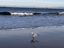 c68be711-4293-4ce9-adc6-fa80c8a612e1