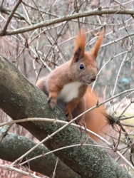 0180150e-98cd-4b14-8b00-96202b096ffd