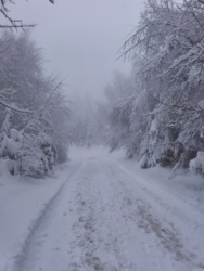 3d260290-753e-41f5-bb4f-a1d2d50faca7