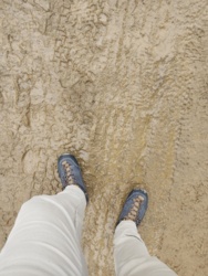 8d29d1cd-463f-4cc0-9e66-02ec18a60dcb