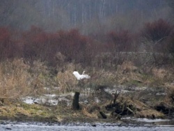 d8619532-9720-4ae9-b0b6-cae8bba388fc