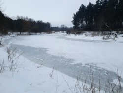 972c1544-5c89-4fa2-b6d0-06a0d109db59