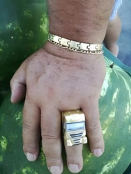 50bd2d5c-bf1e-4d2e-850b-d61d55ea81da