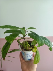 85cc14c4-45f1-41ea-9d11-8329b4fb86e5