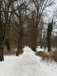 50137b34-282a-48c5-ba97-3f5ac961c2ea