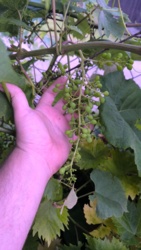 a1f50c5d-5940-4057-924e-3e040ed56e11