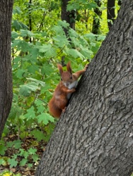 b49ea6b0-d751-4764-86ee-6250ca05ac3f