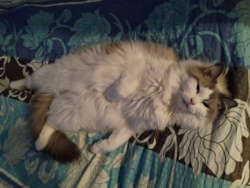 48aa0ad2-3341-4e37-9d64-dee8ab9e6477