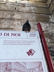 7f383c2f-ad37-46c0-affb-d062892abd38